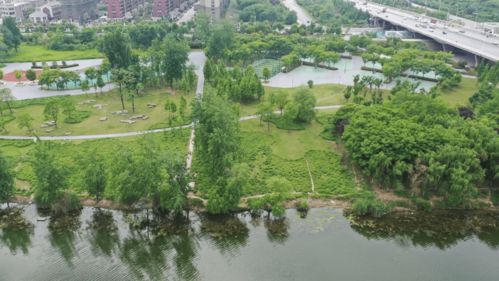 潁河橋下福利特輯 | 一河一園美景如畫，三重狂歡豪禮抱回家