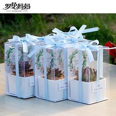 伴手禮 饋贈的藝術與心意